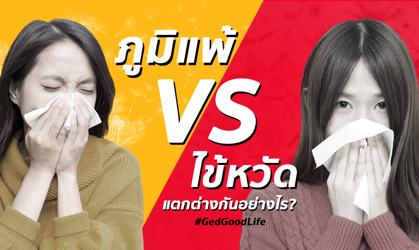 ภูมิแพ้ VS ไข้หวัด แตกต่างกันอย่างไร?