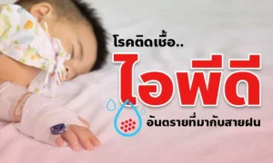 โรคไอพีดี โรคติดเชื้ออันตรายที่มากับสายฝน