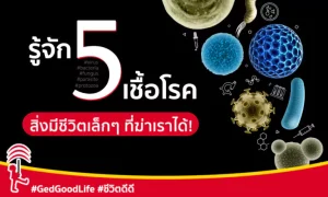 รู้จัก 5 เชื้อโรค สิ่งมีชีวิตเล็ก ๆ ที่อาจฆ่าเราได้!