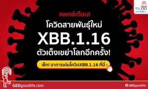 โควิดสายพันธุ์ใหม่ XBB.1.16 มาจากไหน มีอาการยังไง แพร่เร็วหรือไม่?