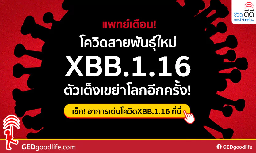 โควิดสายพันธุ์ใหม่ XBB.1.16 มาจากไหน มีอาการยังไง แพร่เร็วหรือไม่?