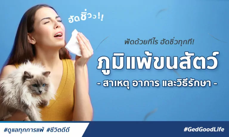 ฟัดด้วยทีไร ฮัดเช่ยทุกที! “ภูมิแพ้ขนสัตว์” สาเหตุ อาการ และวิธีรักษา