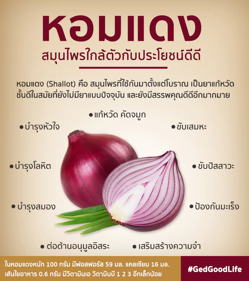 ประโยชน์ของ หอมแดง (Shallot) สมุนไพรใกล้ตัวชาวไทย