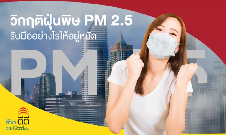 วิกฤติฝุ่นพิษ PM 2.5 รับมืออย่างไรให้อยู่หมัด