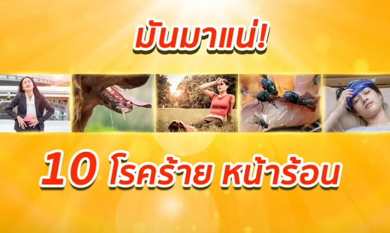 มันมาแน่! 10 โรคร้ายหน้าร้อน ที่ต้องระวัง