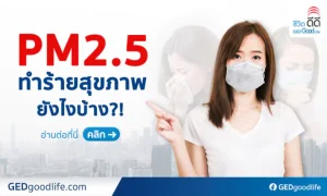 ฝุ่น PM2.5 คืออะไร ทำร้ายสุขภาพเรายังไงบ้าง? สาเหตุ อาการ วิธีป้องกัน