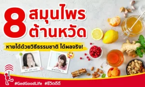 8 สมุนไพรต้านหวัด ต้านไวรัส แก้ปวด ลดไข้ และยังช่วยต้านโควิด-19 ได้อีกด้วย!