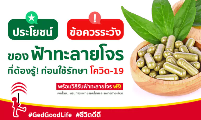 ประโยชน์-ข้อควรระวัง ของฟ้าทะลายโจร ที่ต้องรู้! ก่อนใช้รักษาโควิด-19