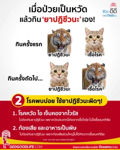 2 โรคพบบ่อย ผู้ป่วยใช้ “ยาปฏิชีวนะ” แบบผิดๆ !