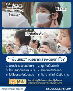 แพ้ขนแมว แต่อยากเลี้ยง ต้องทำไง?