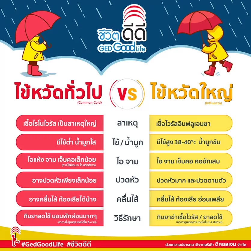 ไข้หวัด vs ไข้หวัดใหญ่ อาการต่างกันอย่างไร?