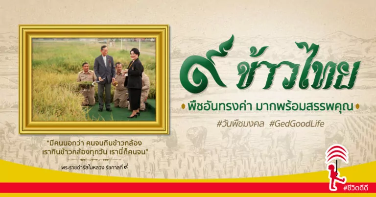 “๙ ข้าวไทย” พืชอันทรงค่า มากพร้อมสรรพคุณ