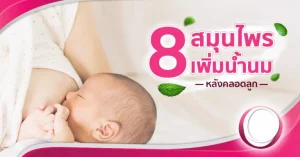 “8 สมุนไพรเพิ่มน้ำนมแม่” หลังคลอด