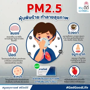 PM 2.5 ฝุ่นพิษร้าย ทำลายสุขภาพ!