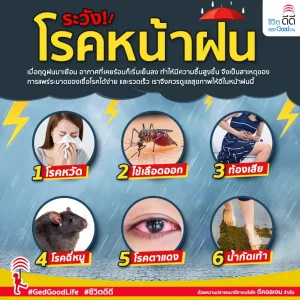 6 โรคหน้าฝน ที่ต้องระวัง หลีกเลี่ยงให้ดี!