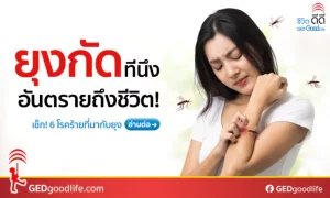 หน้าฝนยุงชุม ต้องระวัง! 5 โรคที่เกิดจากยุงกัด ทำป่วยมีไข้สูงเฉียบพลัน