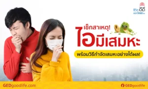 ไอมีเสมหะ สีเสมหะ เกิดจากอะไร บ่งบอกโรคอะไร? และวิธีกำจัดเสมหะอย่างได้ผล!