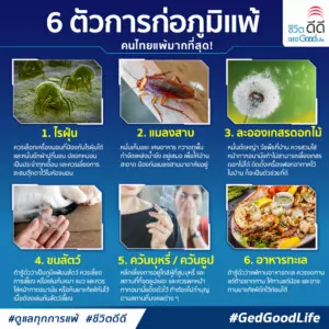 TOP 6 สารก่อภูมิแพ้ ที่คนไทยแพ้มากที่สุด!